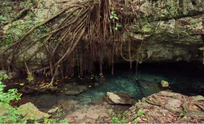 Private: Bayahibe: Jungle Walk and Cenote Snorkeling Tour