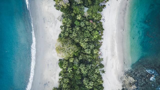 From San José: Full day Manuel Antonio National Park