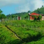 Full Day Cultural Tour in Dominican Republic