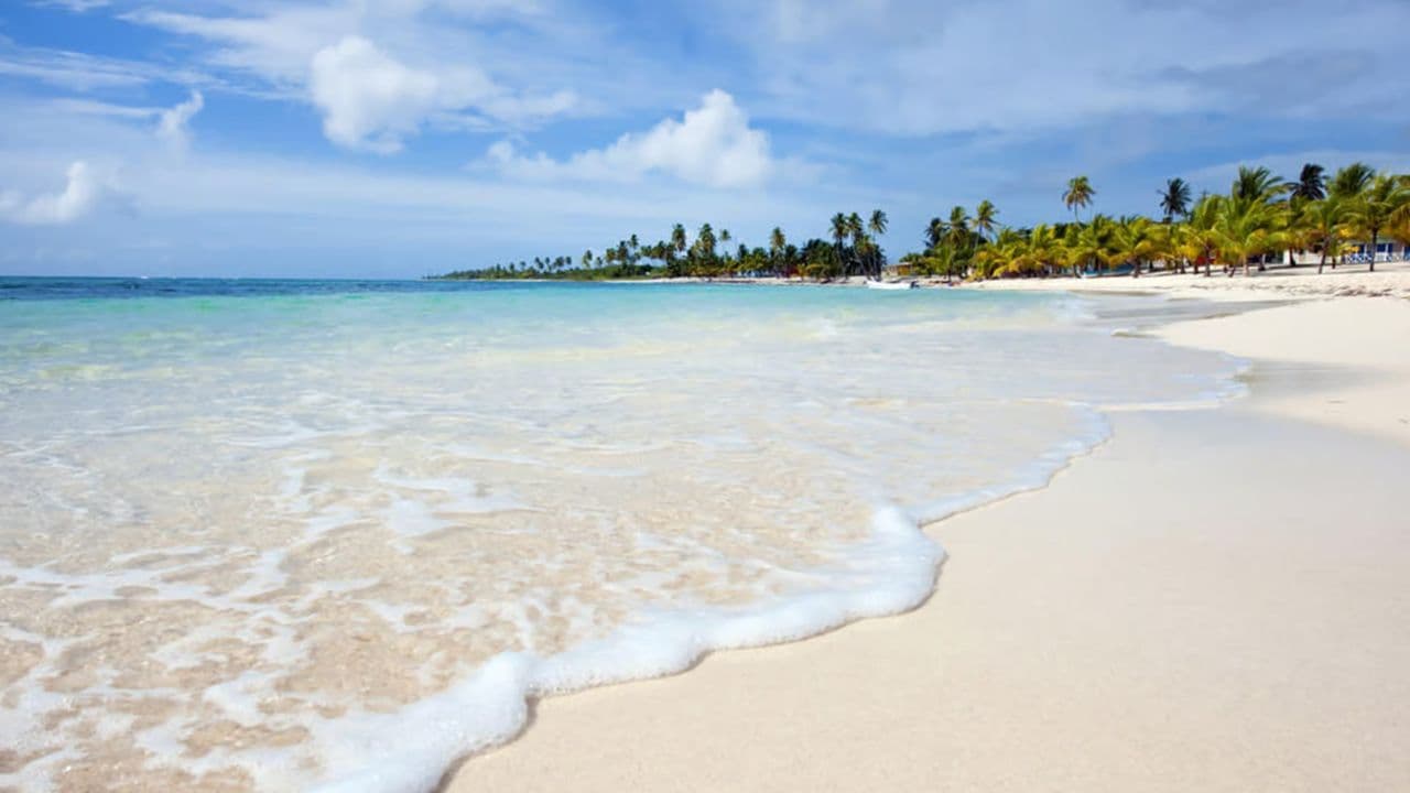 From Santo Domingo: Isla Saona Full-Day Tour with Lunch