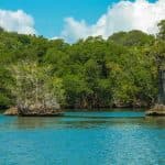 Private Boat Trip & 2 Hours Hiking Rain Forest Los Haitises
