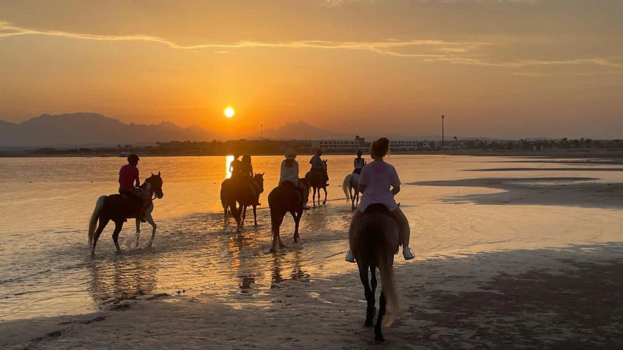 2hour horseback riding adventure on the beach jungle & river