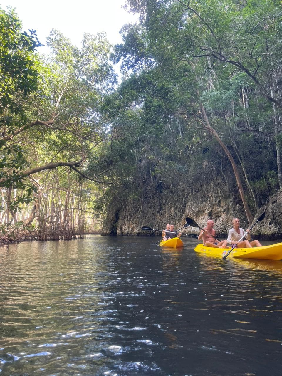Punta Cana to Los Haitises + Kayak, Boat Ride & Macao Buggy Adventure