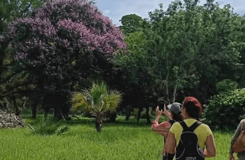 Day Trip to Cienfuegos Botanical Garden
