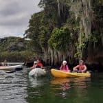 Los Haitises Sunrise or Sunset Private Kayak Excursion with Locals