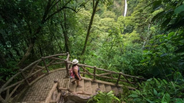 Arenal: Best Activities with Optional Hot Springs