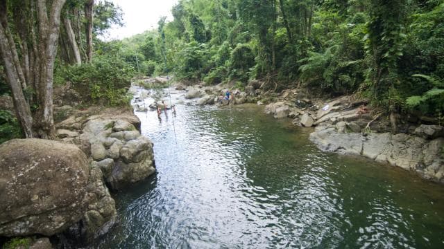 From San Juan: El Yunque Rainforest & Bio Bay Kayak Combo