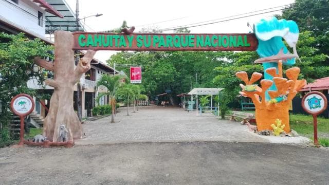 Epic Cahuita Combo Tour: Snorkel Reefs & Hike with Wildlife