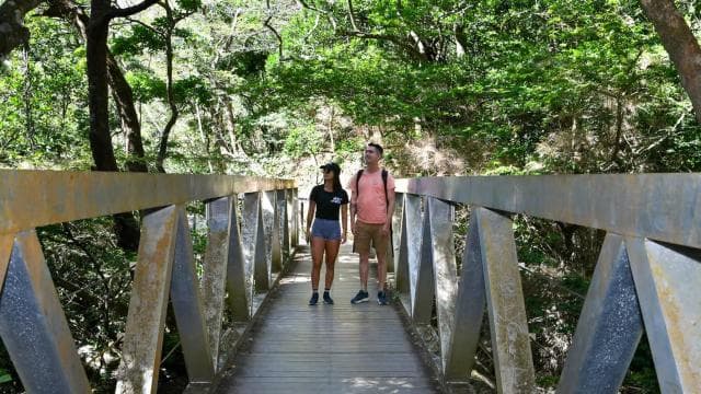 Rincón de la Vieja: Las Pailas trail + Oropendola