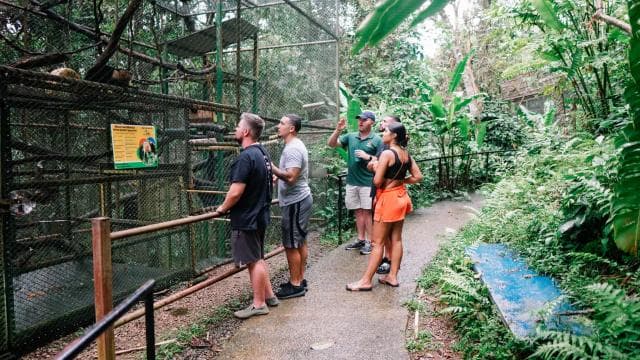 Manuel Antonio: Volunteer for a Day at a Wildlife Sanctuary
