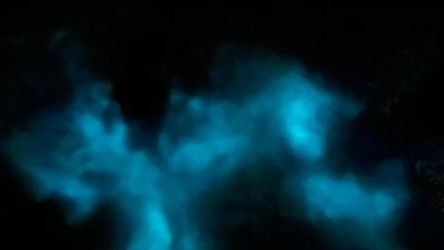 La Parguera: Bioluminescent Bay Boat Tour