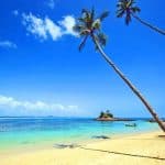 Saona Island Private Tour from Punta Cana Hotels – Punta Cana Lobby