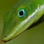 Hike + Kayak Los Haitises National Park from Punta Cana