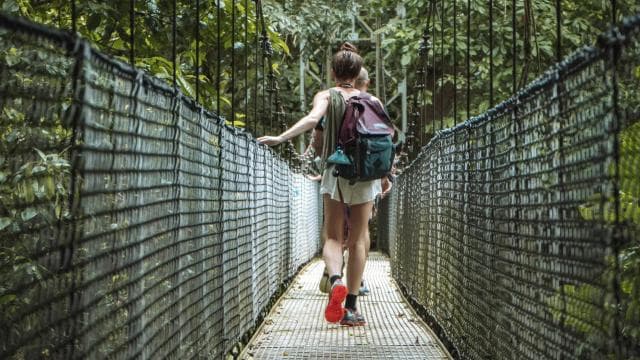 Fortuna Arenal : Tropical Rainforest Arenal Hanging Bridges