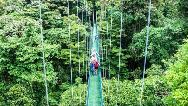 San Jose: Monteverde Sky Tram & Hanging Bridges Day Tour