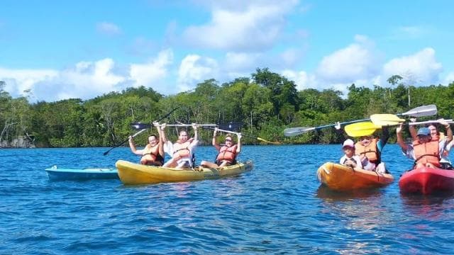 Puerto Jimenez: Kayak Adventure in the Golfo Dulce + Bioluminescence