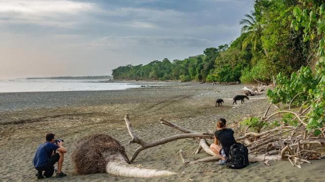 Corcovado National Park: Sirena Day Tour Drake Bay-Corcovado