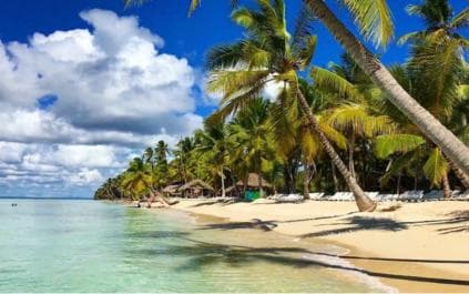 Santo Domingo: Saona Island Day Trip with Lunch and Drinks
