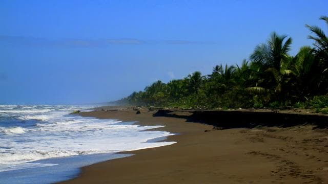 San Jose: Tortuguero Park Day Tour with Breakfast & Lunch