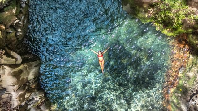 Rio Negro Hot Springs & Oropendola Waterfall Combo & Lunch