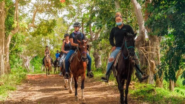 Carabalí Rainforest Park: Rainforest Horseback Riding Tour