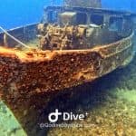 Bayahibe: Snorkeling Tour – Sea, Cotubanama park & Cenotes