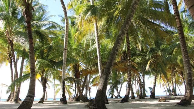 Punta Cana: Saona Island and Altos de Chavón Day Trip
