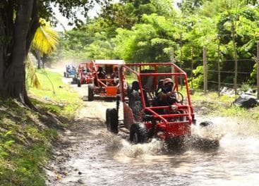 Puerto Plata: Buggy Adventure with Local Guide