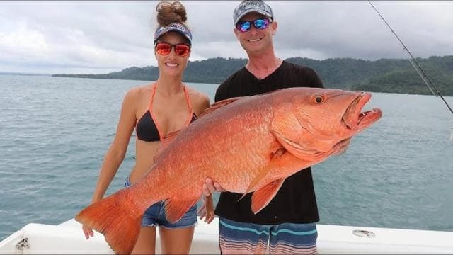 Playa Mantas: Private Mini Fishing Boat Rental