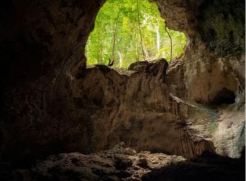 Samana: Los Haitises Kayaks & Caño Hondo Pools Tour w/ Lunch