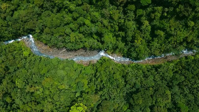 Spa or Jaguar Luxury Rainforest Experiences with Lunch