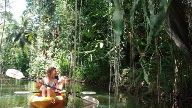 Punta Uva: Kayak and Sloth Watching Tour