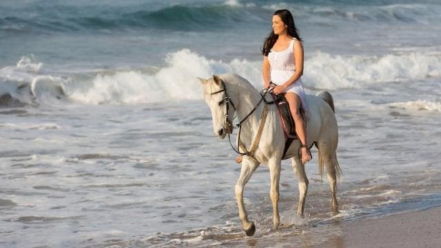 Uvita: Horseback Riding Costa Rica