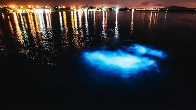 From San Juan: La Parguera Glowing Bio Bay Boat Tour