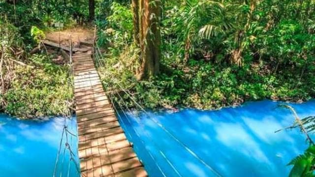 La Fortuna Town: Rio Celeste and Tenorio National Park Tour