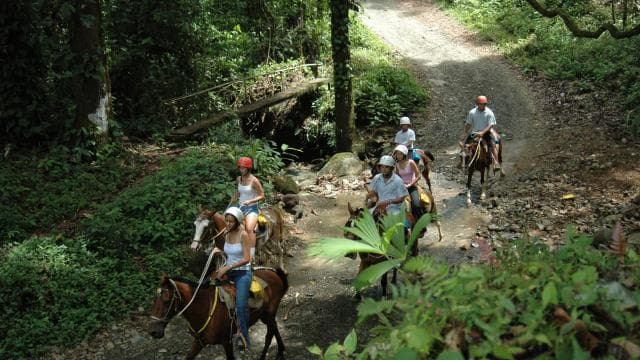 Quepos: Horseback Riding to the Shaman Waterfalls