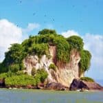 Los Haitises National Park Tour from Las Terrenas, Samaná. Half Day Trip. Lunch at Caño Hondo