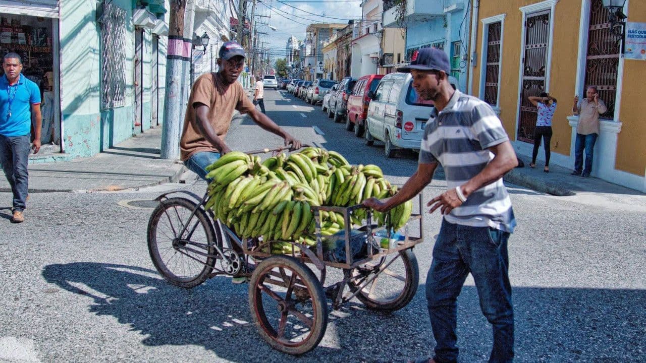 Santo Domingo Sightseeing Tour with Lunch