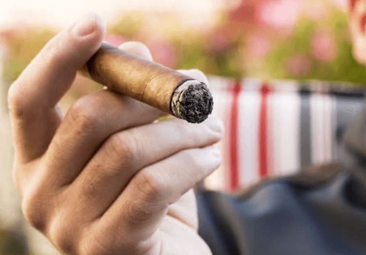 Cuban Cigar Workshop