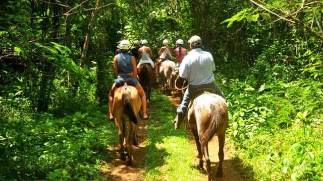 Monteverde: Horseback Riding Tour