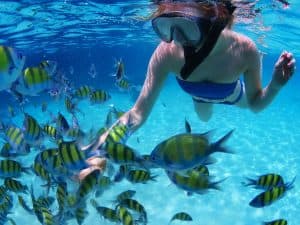 Four Adventures: Parasailing, Snorkeling Cruise, Sharks & Rays in Natural Pools from Punta Cana - Dominican Republic