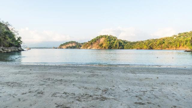 San Jose: Manuel Antonio National Park Day Trip with Lunch