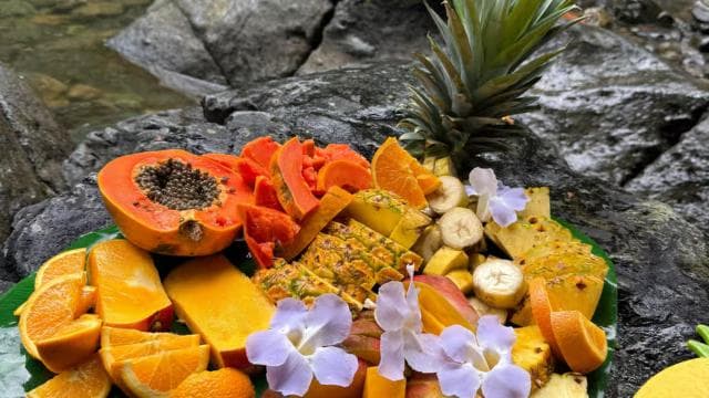 Small-Group El Yunque Rainforest Tour with Transport