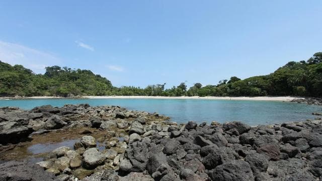 Manuel Antonio surf lessons