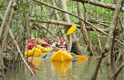 Los Haitises All One: Kayaking, Hiking, Boat, and Swimming