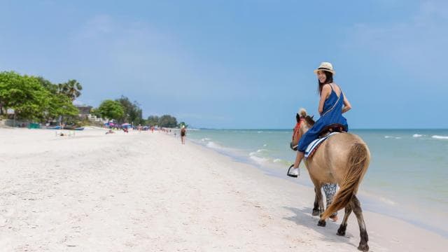Punta Cana Full Adventure: The Unforgettable Caribbean Excursion 2024