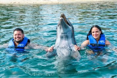 Puerto Plata: Ocean World Adventure Park Swim with Dolphins