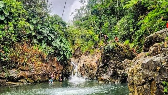 P-up/ San Juan: El Yunque Half-Day Tour with Transportation