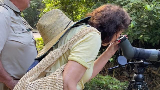Manuel Antonio National Park Full Wildlife