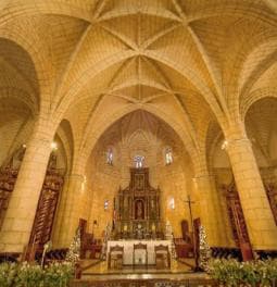 From Punta Cana To Santo Domingo: Tour History on the city